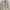 Vintage Luxury Cardigan Wanita khaki cream photo 2