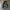 Gorpcore Track jacket Pria black photo 4