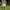 Adidas Streetwear Y2K Jersey Pria white photo 2