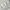 Adidas Streetwear Y2K Jersey Pria white photo 6