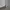 Gorpcore Sportswear Windbreaker Pria cream photo 3