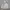 Gorpcore Sportswear Windbreaker Pria cream photo 7