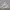Gorpcore Sportswear Windbreaker Pria cream photo 6
