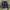 Dickies Casual Denim jacket Wanita navy photo 2