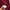 Lacoste Minimalist Sweater Wanita burgundy photo 6