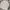 Luxury Casual dress Wanita khaki cream photo 1