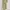 Luxury Minimalist Maxi dress Wanita green photo 3