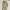 Luxury Minimalist Maxi dress Wanita green photo 2