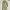 Luxury Minimalist Maxi Dress Wanita Green