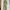 Luxury Minimalist Maxi dress Wanita green photo 1