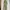 Luxury Minimalist Maxi Dress Wanita Green