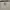 Tory Burch Luxury Minimalist Crossbody Bag Wanita cream photo 3
