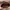 MCM Luxury Casual Crossbody Bag Wanita brown photo 5