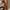 MCM Luxury Casual Crossbody Bag Wanita brown photo 3