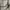 Coach Minimalist Casual Crossbody Bag Wanita white cream photo 5