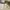 Coach Luxury Minimalist Crossbody Bag Wanita white cream photo 7