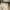 Coach Luxury Minimalist Crossbody Bag Wanita white cream photo 5