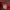 Ellesse Casual Swimwear Pria Red