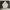 Fila Casual Swimwear Pria white photo 2