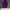 Casual Swimwear Pria purple photo 1