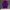 Casual Swimwear Pria Purple
