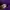 Casual Swimwear Pria Purple