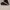 Adidas Casual Sneakers Pria white black photo 1
