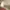 Chanel Luxury Minimalist Crossbody Bag Wanita white photo 4