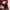 New Balance Casual Sneakers Wanita white red photo 5