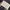 Luxury Minimalist Crossbody Bag Wanita white photo 3