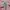 Sportswear Jersey Pria pink photo 3