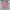 Sportswear Jersey Pria pink photo 1