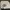 Gucci Luxury Minimalist Crossbody Bag Wanita white photo 2