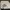 Gucci Luxury Minimalist Crossbody Bag Wanita White