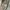 Gucci Luxury Minimalist Crossbody Bag Wanita white photo 6