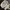 Gucci Luxury Minimalist Crossbody Bag Wanita white photo 4