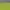 2XU Sportswear Jersey Pria green photo 4