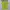 2XU Sportswear Jersey Pria green photo 1