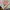 Japanese brand Y2K Luxury Hoody Wanita pink cream photo 6