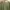 Luxury Minimalist Blouse Wanita green photo 5