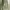 Luxury Minimalist Blouse Wanita green photo 6