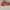New Balance Casual Sneakers Wanita orange photo 1