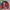 The North Face Gorpcore Track jacket Pria red photo 2