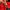 The North Face Gorpcore Track jacket Pria red photo 5