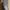 Michael Kors Luxury Minimalist Crossbody Bag Wanita gray photo 8