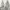 Casual Hoody Pria gray photo 1