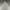 Stussy Streetwear Y2K Hoody Pria gray photo 5