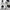 Casual Hoody Pria white photo 1