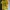 Indie Casual T-shirt Pria green yellow photo 3