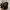 Chanel Luxury Minimalist Crossbody Bag Wanita black photo 2